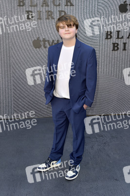 Serienpremiere 'Black Bird' in Los Angeles