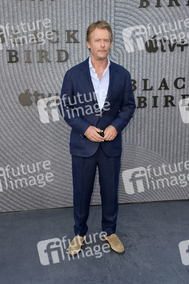 Serienpremiere 'Black Bird' in Los Angeles