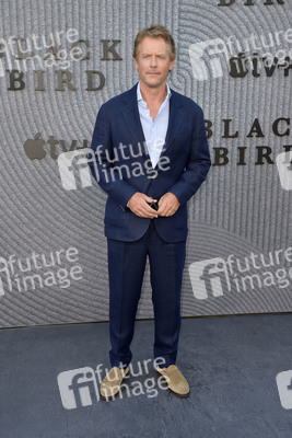 Serienpremiere 'Black Bird' in Los Angeles