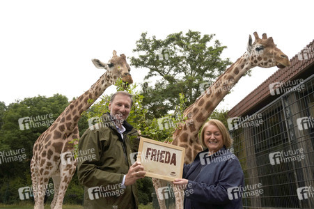 Namensgebung für Giraffennachwuchs im Tierpark Berlin