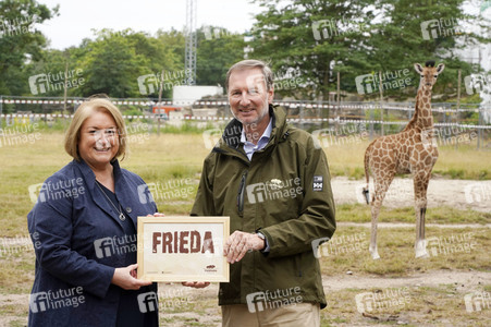 Namensgebung für Giraffennachwuchs im Tierpark Berlin