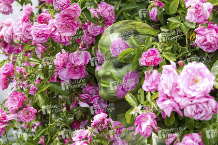 NATURE ART: Rosen / Roses Bodypainting