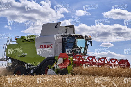 Rapsernte in Ottenstein