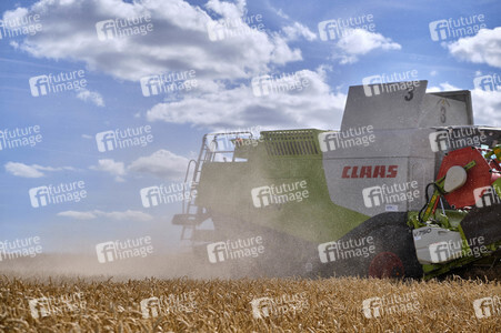 Rapsernte in Ottenstein