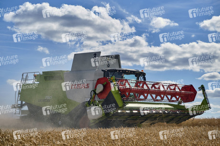 Rapsernte in Ottenstein