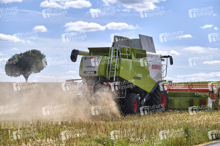 Rapsernte in Ottenstein