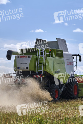 Rapsernte in Ottenstein