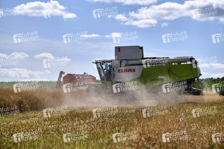 Rapsernte in Ottenstein