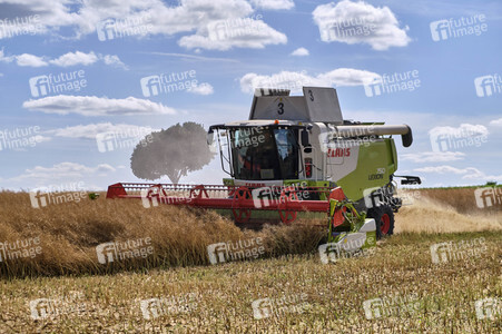 Rapsernte in Ottenstein