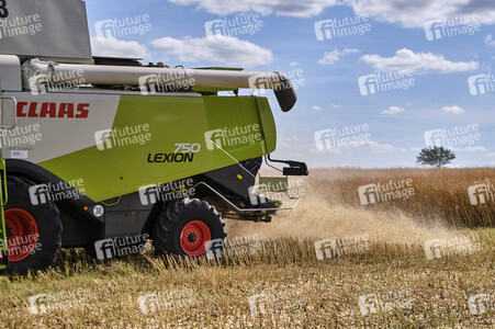 Rapsernte in Ottenstein