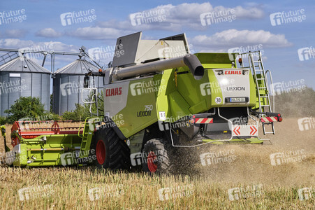 Rapsernte in Ottenstein