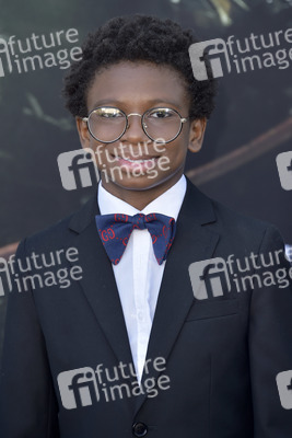 Filmpremiere 'Thirteen Lives' in Los Angeles