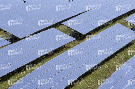 Solarpark Moos