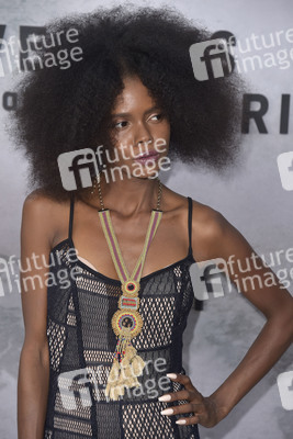 Serienpremiere 'Memorial Hospital - Die Tage nach Hurrikan Katrina' in Los Angeles