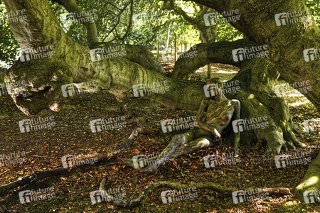 NATURE ART: Buchen / Beeches Bodypainting