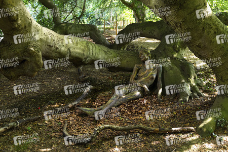 NATURE ART: Buchen / Beeches Bodypainting