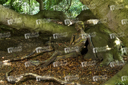NATURE ART: Buchen / Beeches Bodypainting