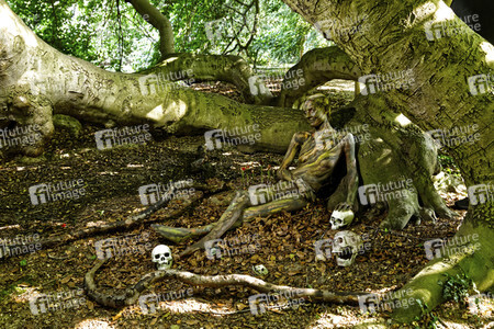 NATURE ART: Buchen / Beeches Bodypainting