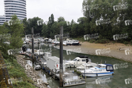 Niedrigwasser am Rhein in Düsseldorf