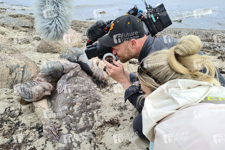 NATURE ART: Ostseestrand / Baltic Sea Beach Bodypainting