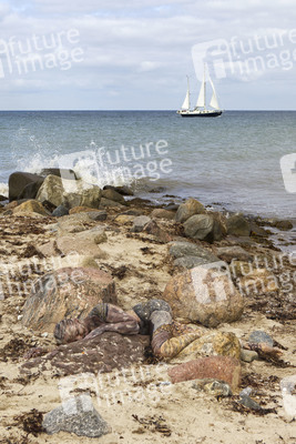 NATURE ART: Ostseestrand / Baltic Sea Beach Bodypainting