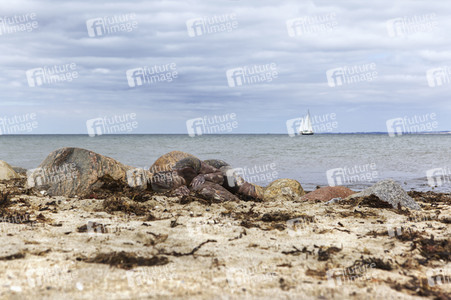 NATURE ART: Ostseestrand / Baltic Sea Beach Bodypainting