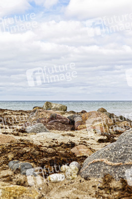 NATURE ART: Ostseestrand / Baltic Sea Beach Bodypainting