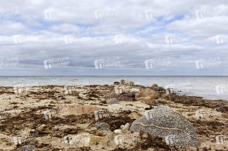 NATURE ART: Ostseestrand / Baltic Sea Beach Bodypainting