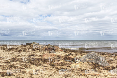 NATURE ART: Ostseestrand / Baltic Sea Beach Bodypainting