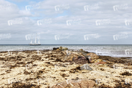 NATURE ART: Ostseestrand / Baltic Sea Beach Bodypainting