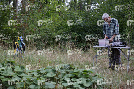 BODYART: Wald Splash / Forest Splash