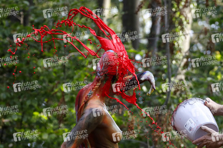 BODYART: Wald Splash / Forest Splash