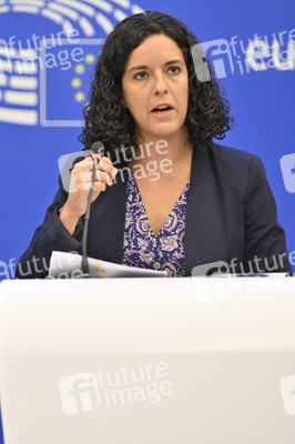 Pressebriefing der Fraktion Die Linke im EU-Parlament in Straßburg