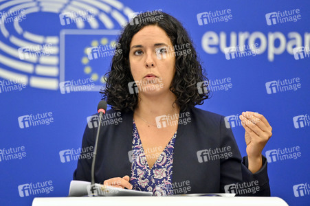Pressebriefing der Fraktion Die Linke im EU-Parlament in Straßburg