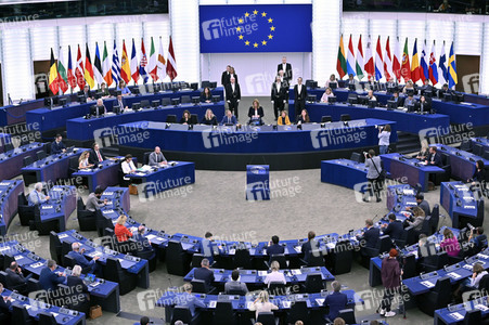 Plenartagung zur EU-Waldstrategie für 2030 im EU-Parlament in Straßburg