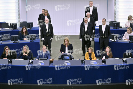 Plenartagung zur EU-Waldstrategie für 2030 im EU-Parlament in Straßburg