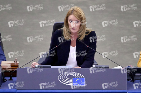Plenartagung zur EU-Waldstrategie für 2030 im EU-Parlament in Straßburg