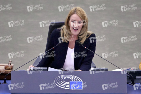 Plenartagung zur EU-Waldstrategie für 2030 im EU-Parlament in Straßburg