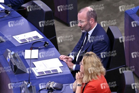 Plenartagung zur EU-Waldstrategie für 2030 im EU-Parlament in Straßburg