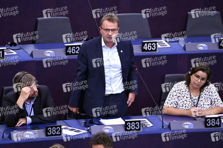 Plenartagung zur EU-Waldstrategie für 2030 im EU-Parlament in Straßburg