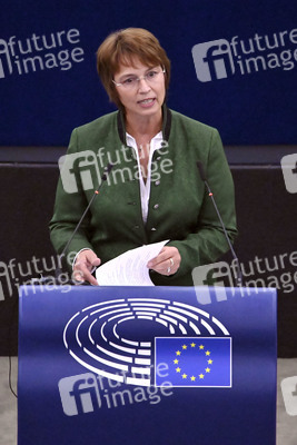 Plenartagung zur EU-Waldstrategie für 2030 im EU-Parlament in Straßburg
