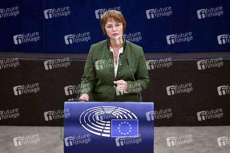 Plenartagung zur EU-Waldstrategie für 2030 im EU-Parlament in Straßburg