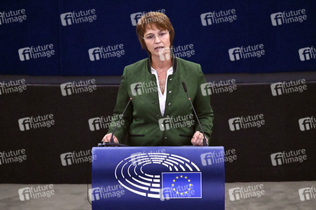 Plenartagung zur EU-Waldstrategie für 2030 im EU-Parlament in Straßburg