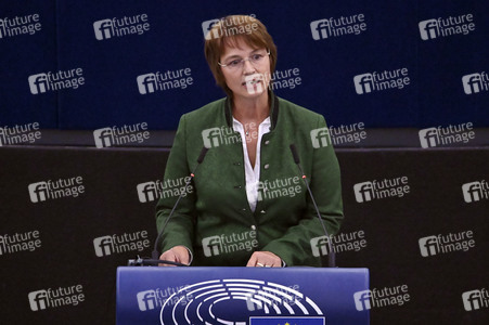 Plenartagung zur EU-Waldstrategie für 2030 im EU-Parlament in Straßburg
