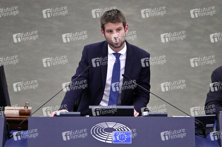 Plenartagung zur EU-Waldstrategie für 2030 im EU-Parlament in Straßburg