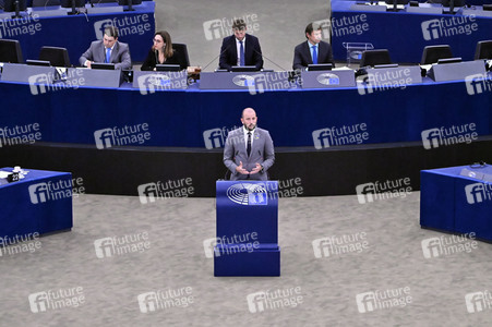 Plenartagung zur EU-Waldstrategie für 2030 im EU-Parlament in Straßburg