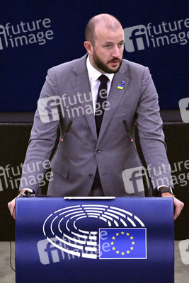 Plenartagung zur EU-Waldstrategie für 2030 im EU-Parlament in Straßburg