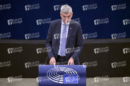 Plenartagung zur EU-Waldstrategie für 2030 im EU-Parlament in Straßburg