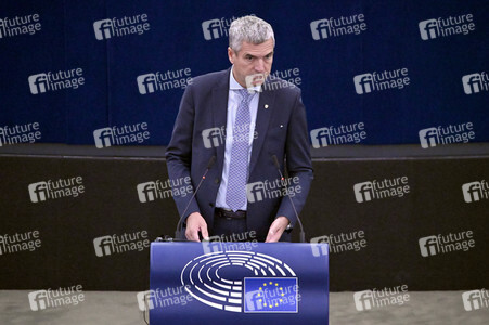 Plenartagung zur EU-Waldstrategie für 2030 im EU-Parlament in Straßburg