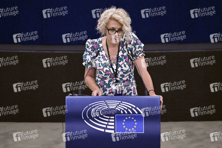 Plenartagung zur EU-Waldstrategie für 2030 im EU-Parlament in Straßburg